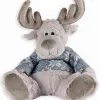 Caribou gris DRAGAN