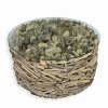 Table basse ronde bois flotté WOODREAM